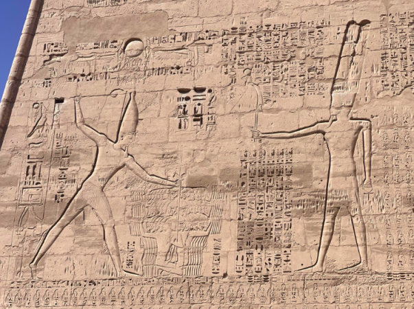 Habu (Overday Luxor - Valley of the Queens)