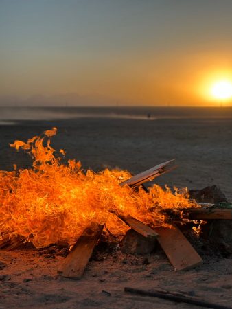 Private horse and camel trip